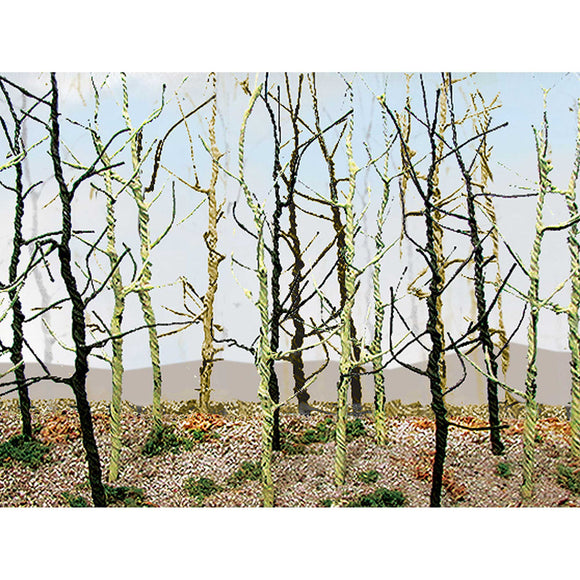 Wood's Edge Trees, Bare (14)