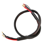 2S Charge Cable: 4mm bullet
