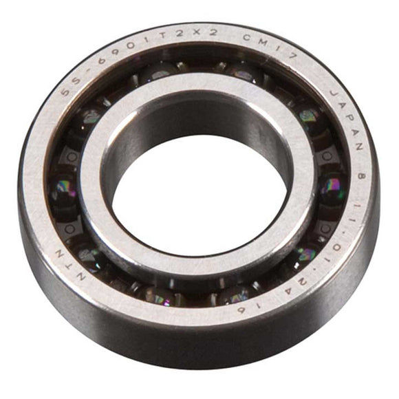 Rear Bearing: 19XZ-B Speed
