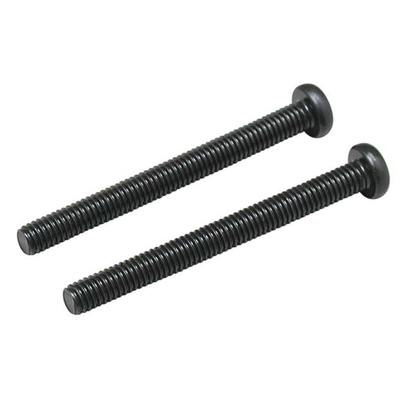 Muffler Screws #843 (2)