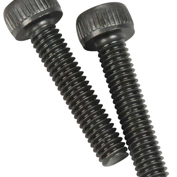 90 Degree Muffler Extension Screws (2): 120AX