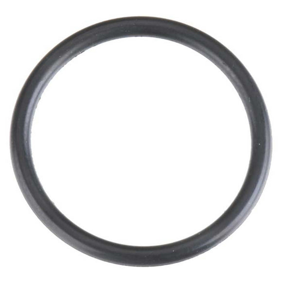 O-Ring: 21TM