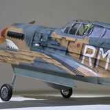 P-40 Warhawk 35-55cc ARF