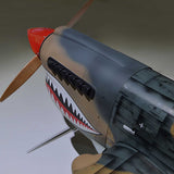 P-40 Warhawk 35-55cc ARF
