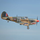 P-40 Warhawk 35-55cc ARF