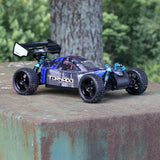 1/10 Tornado EPX PRO Brushless Buggy Blue/Gray