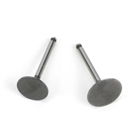 Valve (In & Out) Pair: FG-36: AK, BP