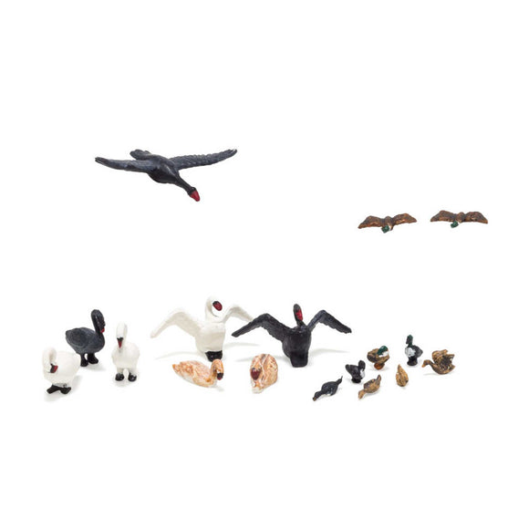 HO Ducks and Swans