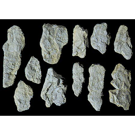 Rock Mold, Surface Rocks