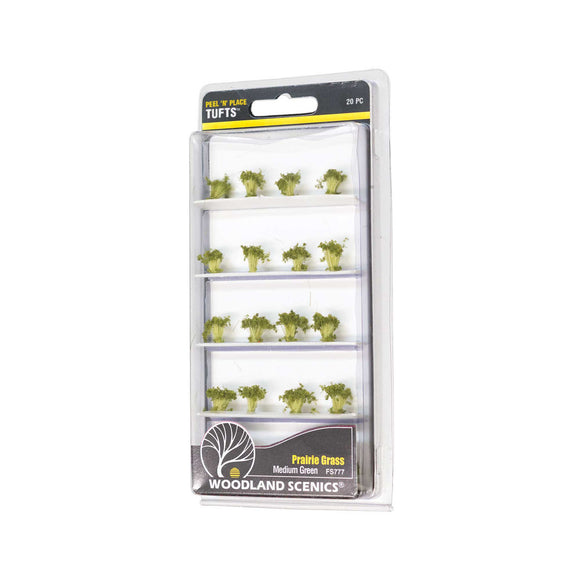 Medium Green Prairie Grass