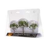 Gum Tree 2 1/2" - 3 1/2" (3)