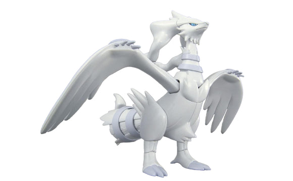 Reshiram 