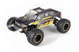 Smyter MT Turbo 1/12 4WD RTR 3S Brushless Monster Truck - Y
