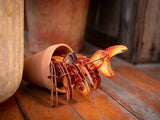 Hermit Crab 3D Puzzle, Bring Nature Home