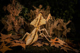 Dead Leaf Mantis 3D Puzzle, Bring Nature Home