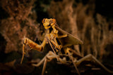 Dead Leaf Mantis 3D Puzzle, Bring Nature Home