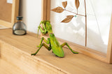 Giant Praying Mantis 3D Kraft Paper Puzzle
