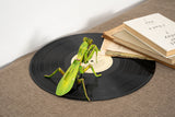 Giant Praying Mantis 3D Kraft Paper Puzzle