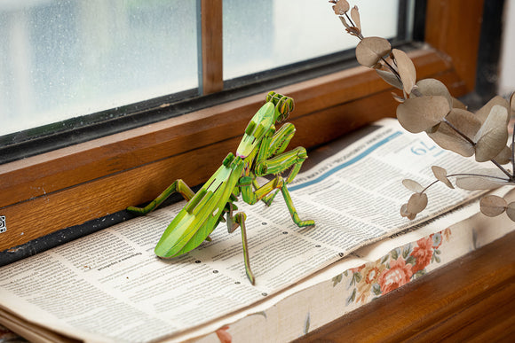 Giant Praying Mantis 3D Kraft Paper Puzzle