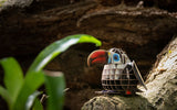 Voices of Nature, Red-Billed Toucan