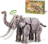 Voices of Nature, Asian Elephant