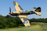 Rage R/C - Curtiss P-40 Warhawk Micro RTF Airplane with PASS System