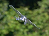 Rage R/C - Spirit of St Louis 4-Ch Micro RTF Airplane