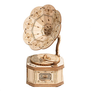 Classic 3D Wood Puzzles; Gramophone