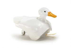 Walking & Swimming Duck