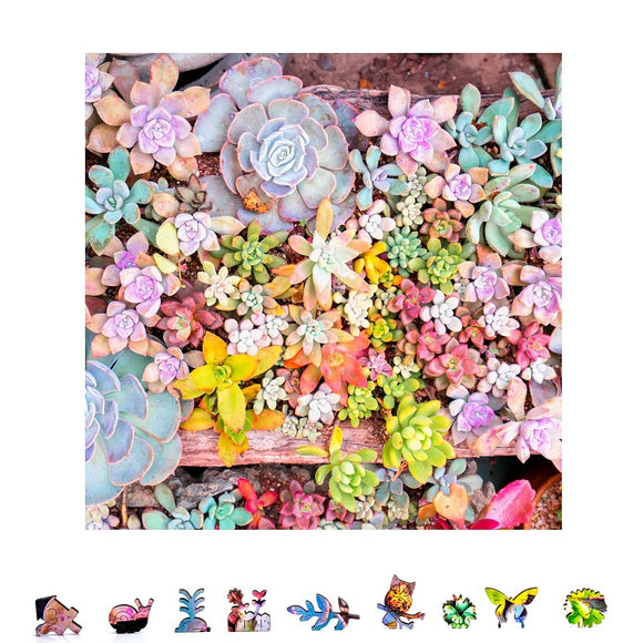 Garden Succulents Wooden Puzzles, 1000 Pcs