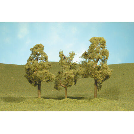 Scenescapes Sycamore Trees, 3-4