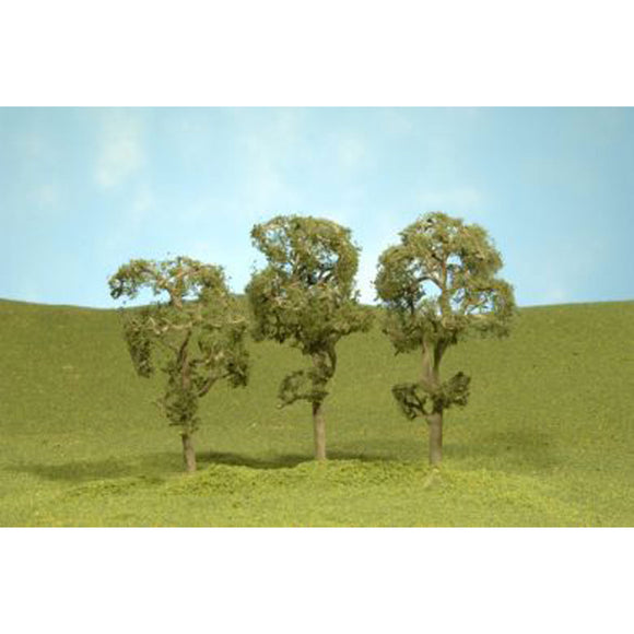 Scenescapes Maple Trees, 2.5-2.75