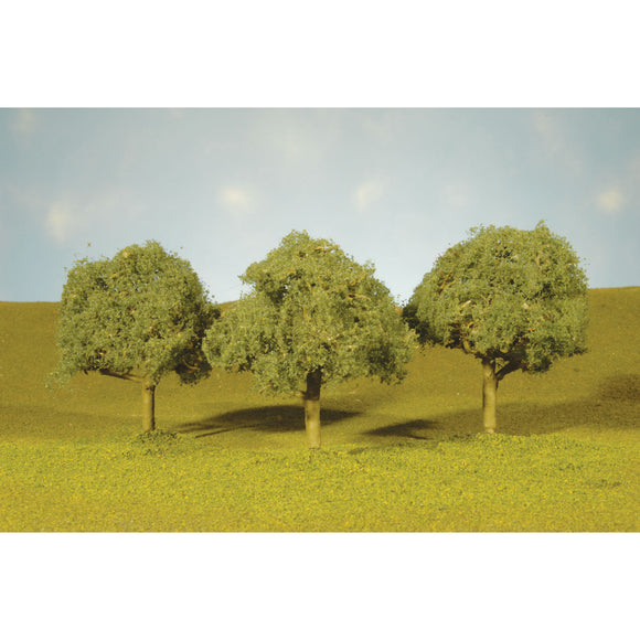Scenescapes Oak Trees, 2.25-2.5