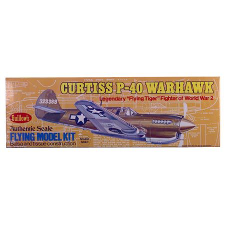 Curtiss P40 Warhawk Kit, 16.5
